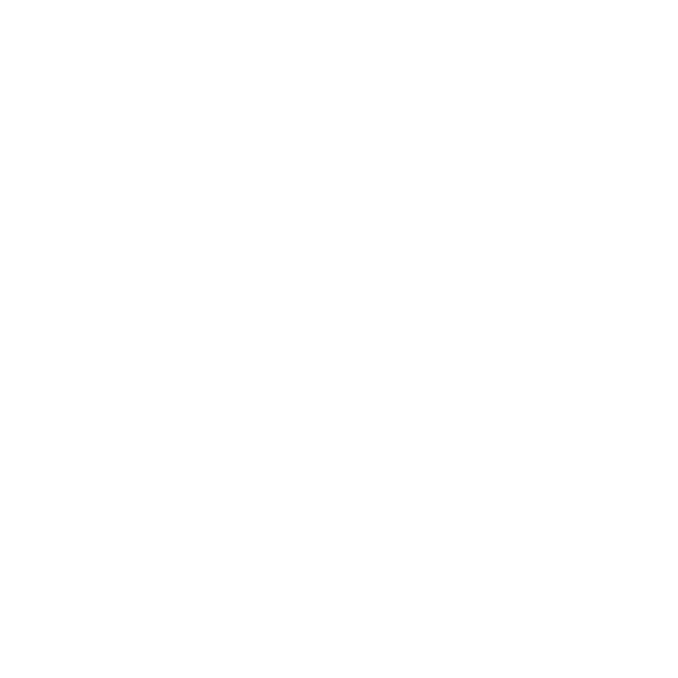 logo light